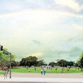 アラモアナ公園の未来