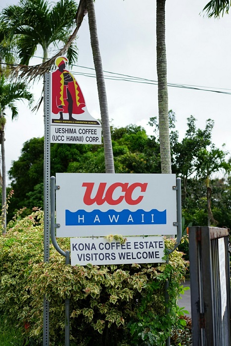 UCCコナコーヒー農園　ハワイ島