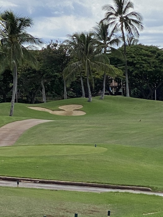 コオリナゴルフ　ハワイ
