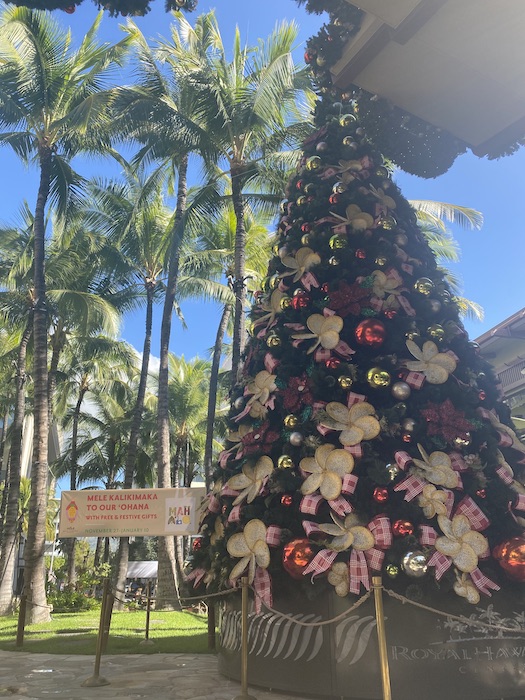 ハワイ　ワイキキ　クリスマスツリー