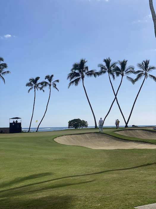 ソニーオープン　ゴルフ　ハワイ