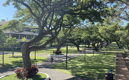 ハワイ大学　ハワイ